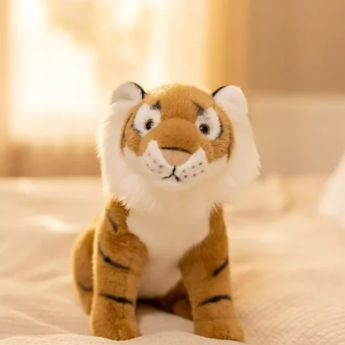 gallery-3273-for-CHTED04304