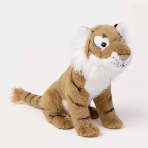 gallery-3269-for-CHTED04304