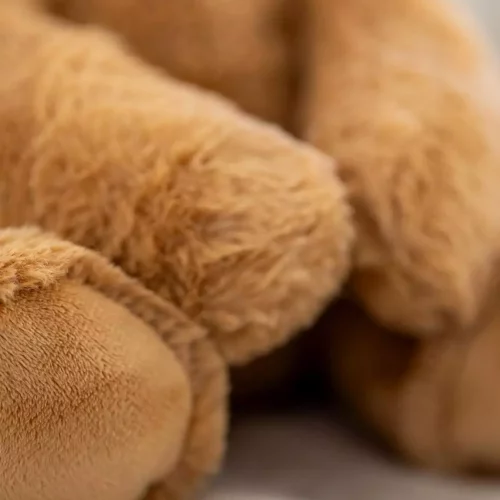 gallery-3277-for-CHTED04279