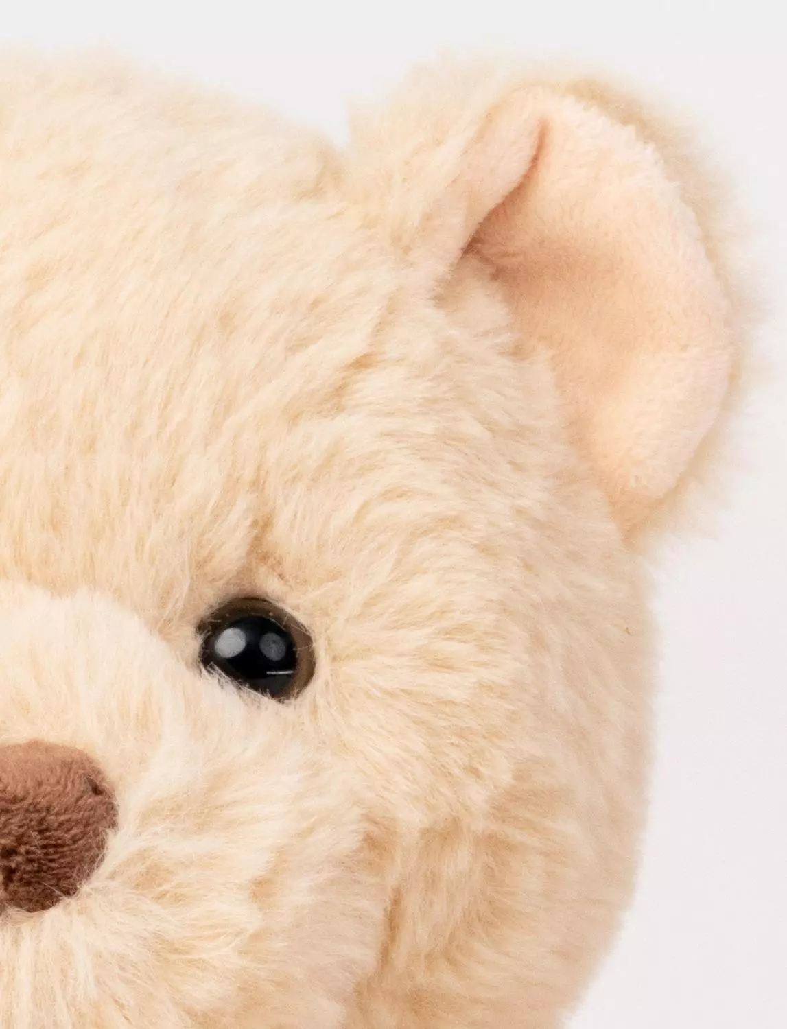 gallery-3280-for-CHTED04278