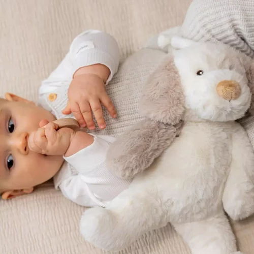 gallery-3284-for-CHTED4270