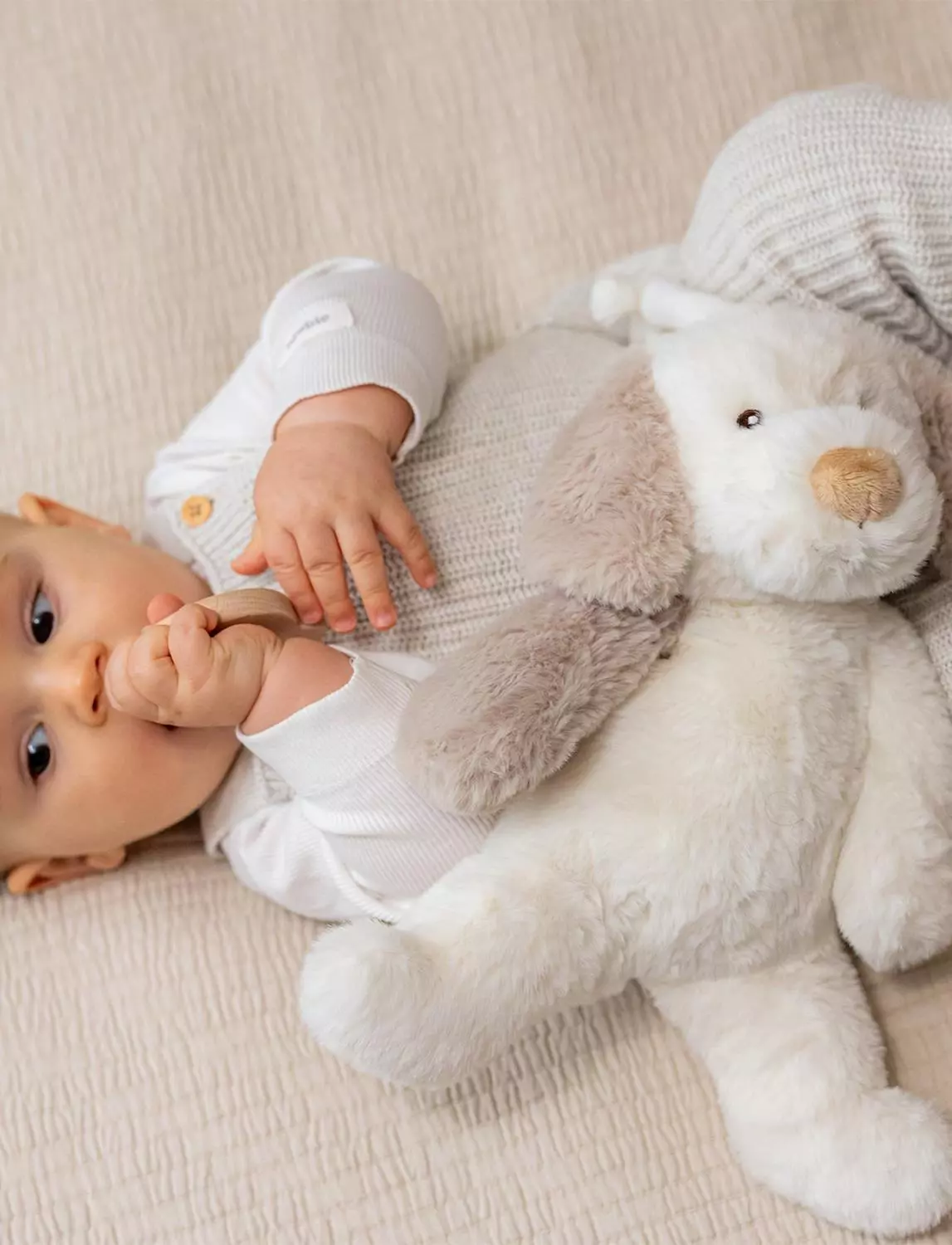 gallery-3284-for-CHTED4270