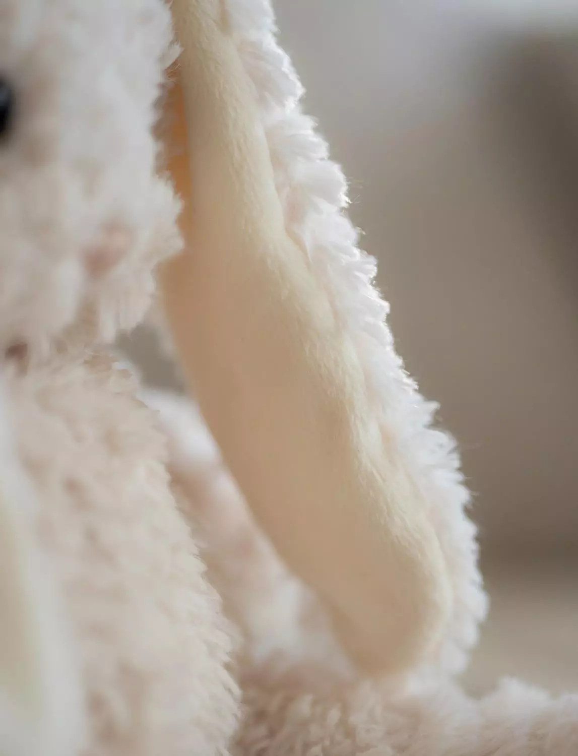 gallery-3294-for-CHTED04265