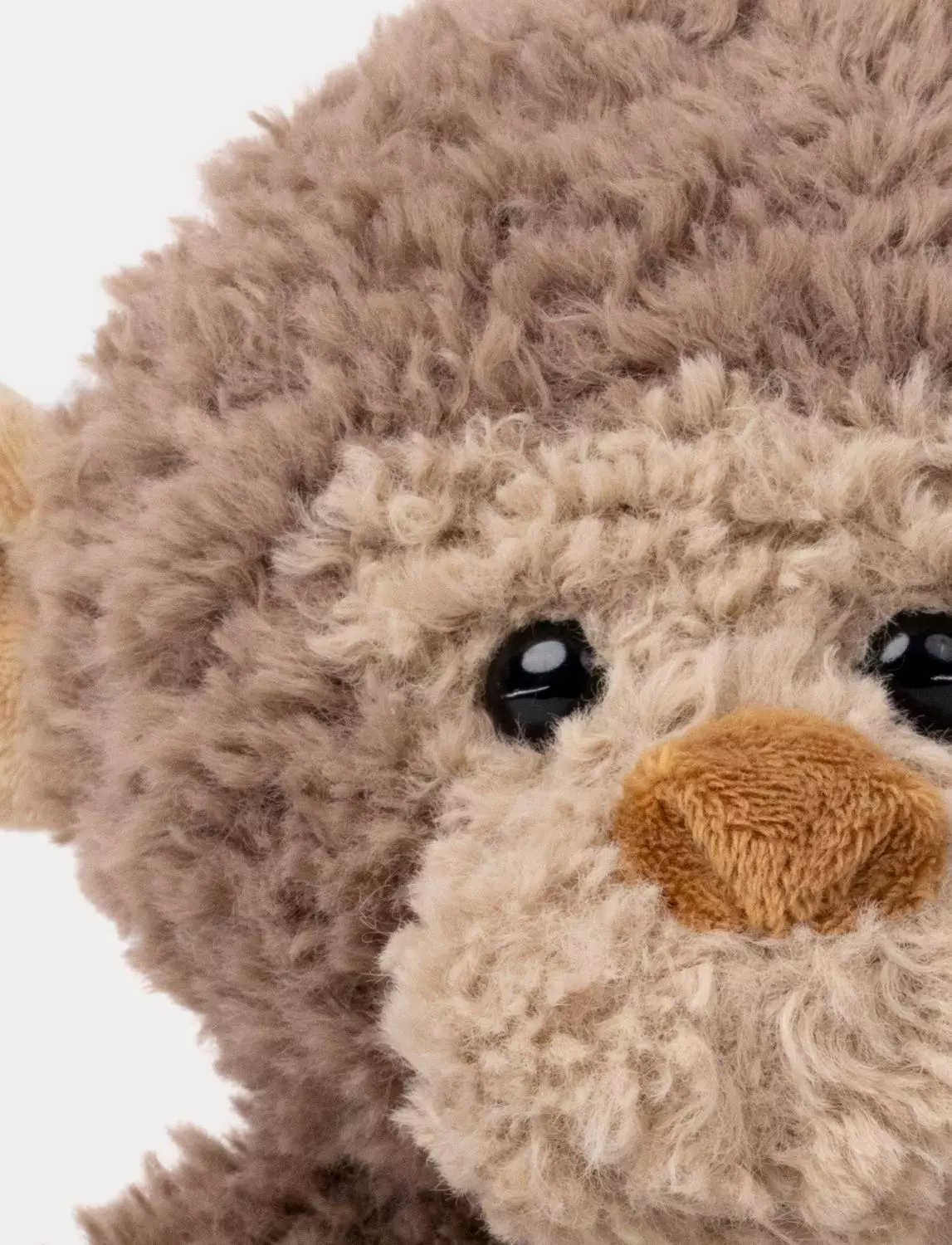 gallery-3395-for-CHTED04267