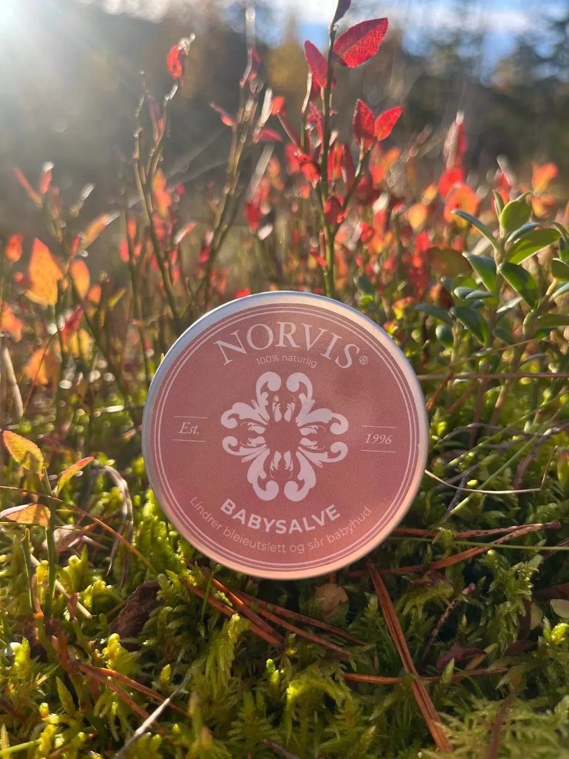 Norvis Babysalve 30ml