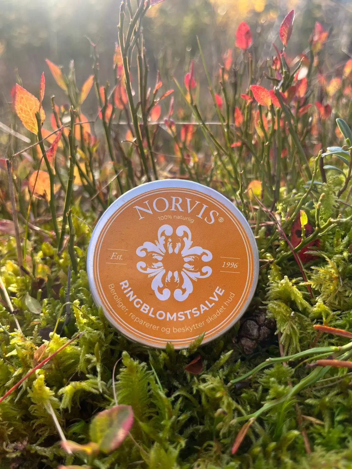 Norvis Rinblomstsalve 30ml