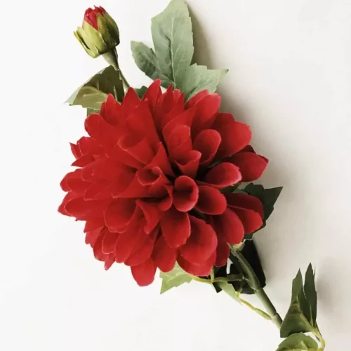 Dahlia støvet rød 66 cm