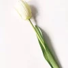 Tulipan hvit 48 cm