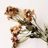 Asters rosa 53cm