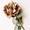 Rose gyllen rosa