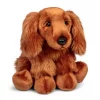 Cocker Spaniel