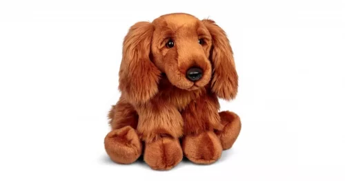 Cocker Spaniel
