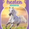 AKTIVITETSBOK VAKRE HESTER