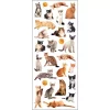 STICKERS KATTER TINKA