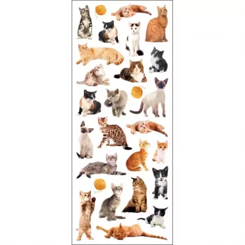 STICKERS KATTER TINKA