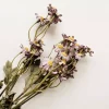 Asters lilla 53cm