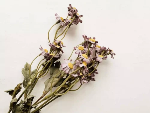 Asters lilla 53cm