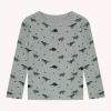 HCAbba Dino Wool Slate Green