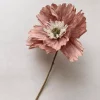 Papirblomst valmue