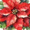 Servietter Festive poinsettia