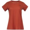 Bergans  Graphic Wool W Tee