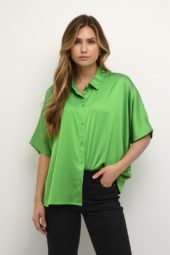 gallery-10088-for-10507437-green