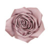 Intex Hårklype og klips, rose, rosa