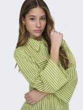 gallery-15126-for-15324978-lima bean green