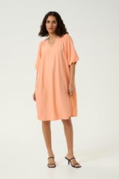 gallery-20256-for-10509764-141228