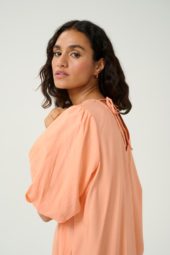 gallery-20259-for-10509764-141228
