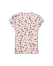 gallery-20277-for-19119-rose red flower