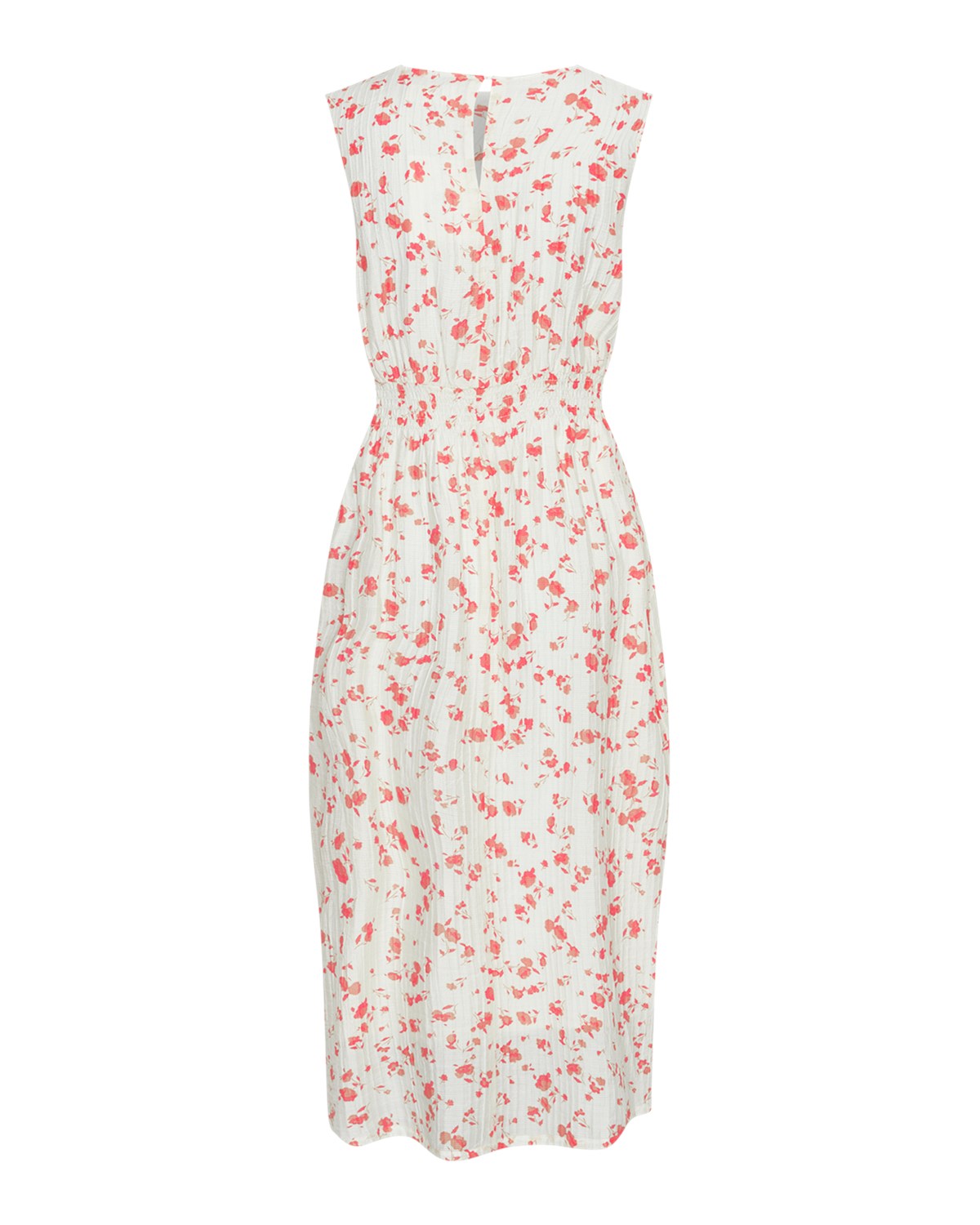 gallery-20281-for-19118-rose red flower