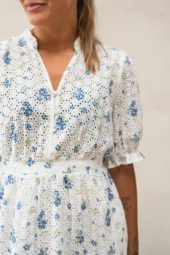 gallery-20306-for-19198-F blue flower