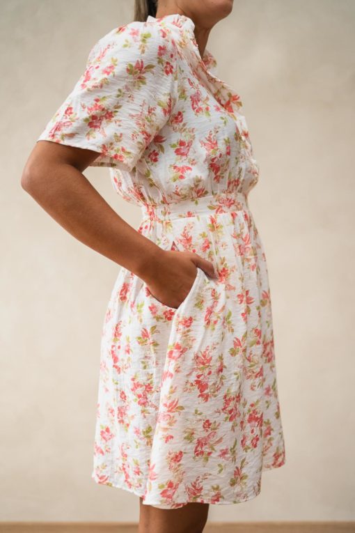 gallery-20301-for-19206-cry rose flower