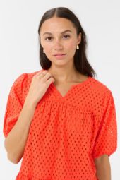 gallery-20933-for-10509892