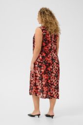 gallery-21108-for-10582025-108190