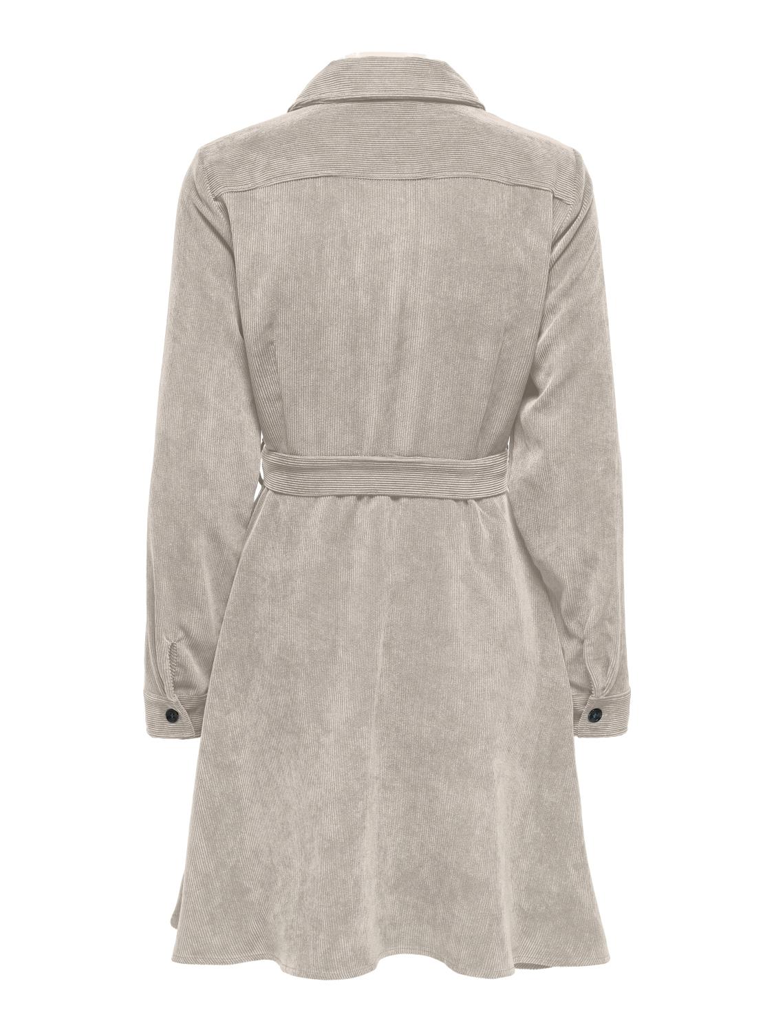 gallery-21448-for-15359261-pumice stone