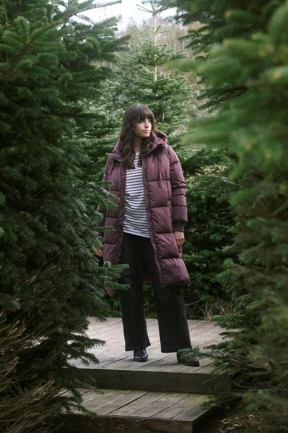 gallery-24128-for-10583496