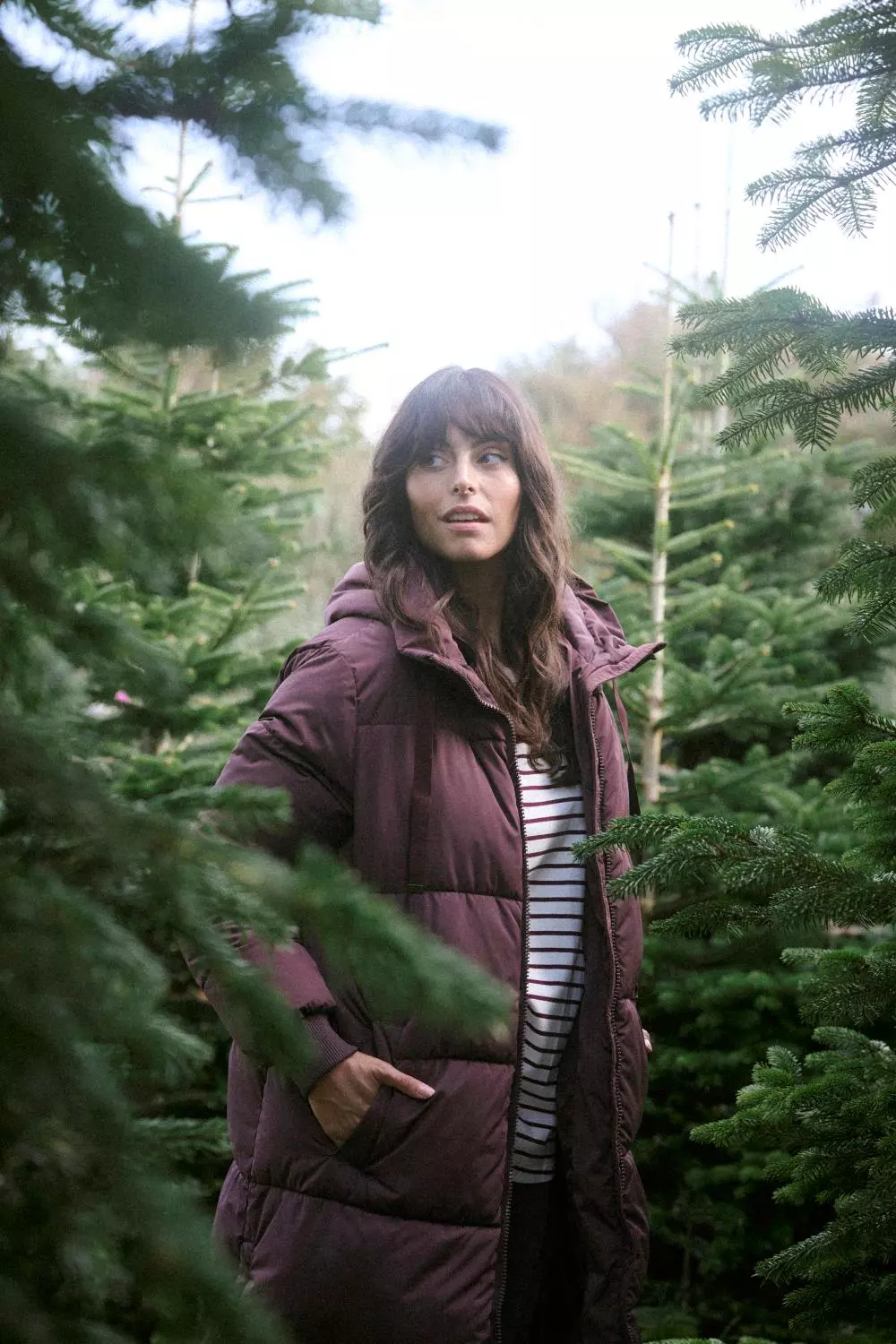 gallery-24130-for-10583496