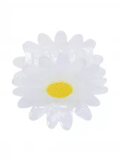 gallery-25004-for-074102