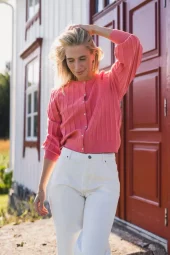 gallery-25246-for-19371-tea rose