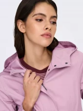 gallery-25584-for-15363479-mauve shadows