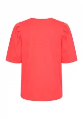 gallery-25745-for-57868-431