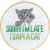 Sorry I`m late, I saw a cat
