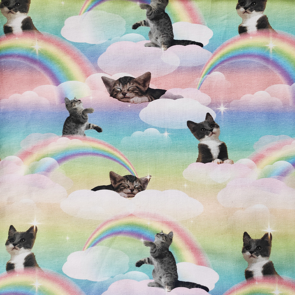 Jersey print Kittens Rainbow Clouds