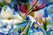 Mc Elroy - Exclusive Bold Blooms - Blue - Mabelle Lawn