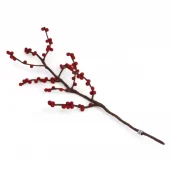 Branch w/Red Berries
