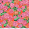 Kaffe Fassett Collective – PWPJ131 Alpines - Red