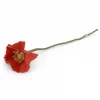 Poppy Flower - Coral