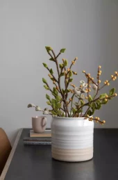 gallery-39472-for-4510200041186